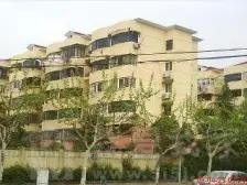 干部福利分房 中间楼层,毛坯,通风好 必看好房