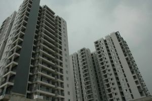 龙湖丽景A区2室1厅南