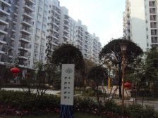 龙湖丽景A区2室1厅南