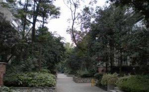 翠朗园3室1厅西南