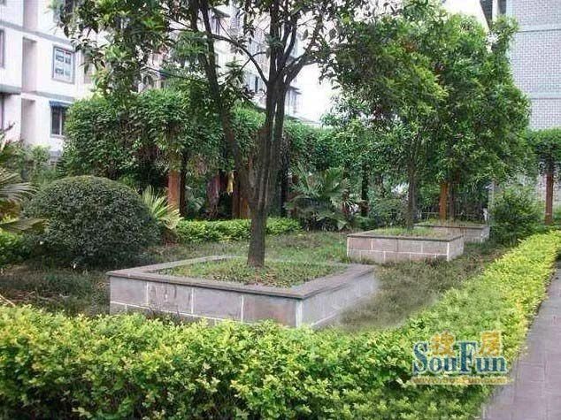 小区相关图