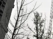 西区 立邦香语湖四房95万