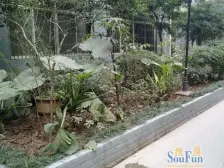 上清寺汇美大厦带人民随时可以用户型方正