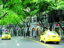 大溪沟 枣子岚垭菜市巷二房46万