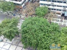 解放碑铂蓝地+中华路+采光好 看房方便 地铁轻轨房..