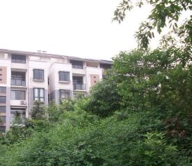 蓝郡新界 3室2厅 南 北