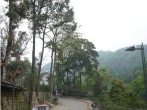 青城两河山庄2室2厅东南