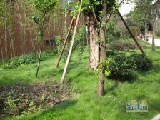 楼层好 中间楼层 视野好 住家安静