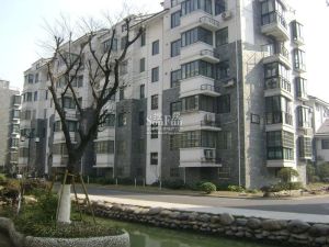 绿城西子百合公寓次顶楼带储藏室带车位