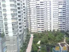 央企大盘 南区红盘 洺悦城龙洲湾组团