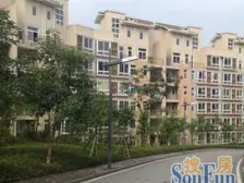 洺悦城龙洲湾 3室2厅 南