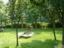 南环南城名居 2室2厅 南