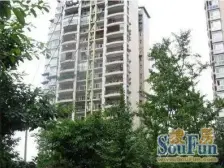 商品房 精装修 电梯房 已满2年 住家装修!