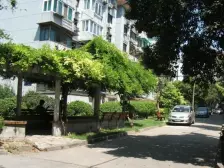 一梯两户 全明户型 煌金楼层 前后无遮挡 房东诚心出售随时看