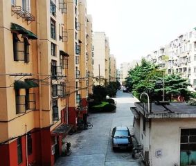 西郊百联附近低楼层全明双南两室业主诚意出售看房随时!