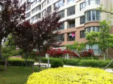 壹品星海前排海景,大平层,2018年精装修,含2车位