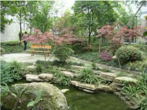 都江森邻花园3室2厅南北