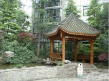 都江森邻花园5室2厅东南南