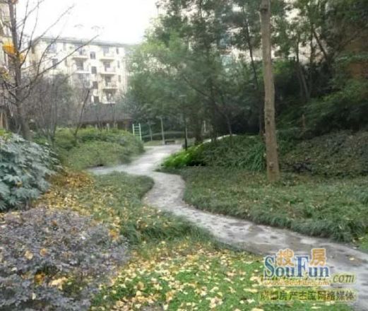 泓坊河畔实景图