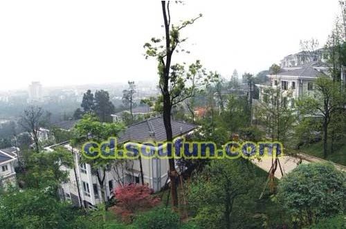 泓坊河畔实景图