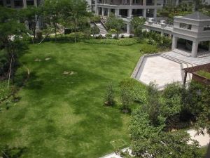 丽水印象 3室1厅 东南