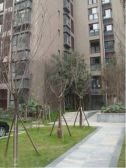 建工紫荆城2期2室1厅东南西南