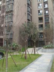 紫荆城3室1厅东南
