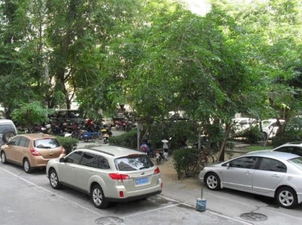 金河公寓实景图