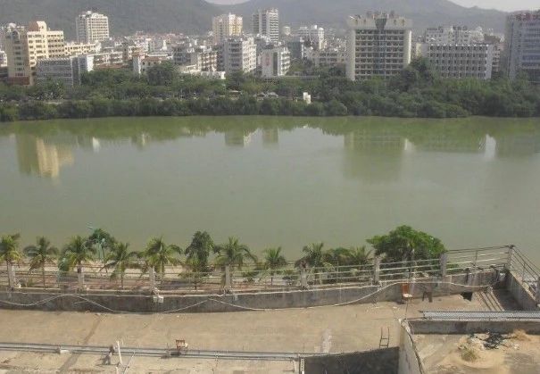 金河公寓实景图