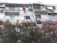 虹桥·邮航小区·1室·1厅