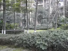 橙郡一期 4室1厅 东南 南