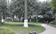 橙郡一期 3室1厅 南