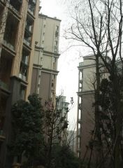橙郡一期3室2厅东南