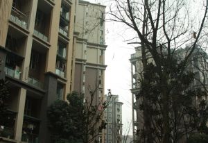 橙郡一期3室1厅东南