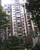 橙郡一期 4室2厅 东南