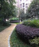 橙郡一期 4室1厅 南