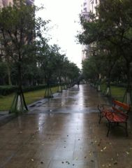 橙郡一期 2室1厅 南