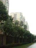 橙郡一期4室2厅东北