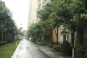 橙郡一期3室1厅南