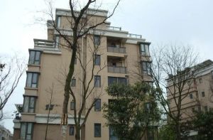 蓝岸B区3室2厅东南