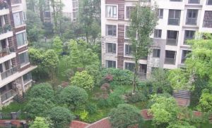 蓝岸A区3室1厅东南