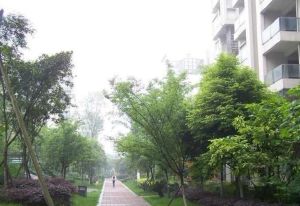蓝岸A区3室1厅南