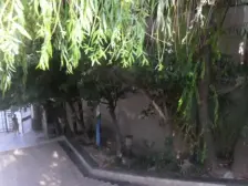 跃层带屋顶花园,二楼带花园,阳光房