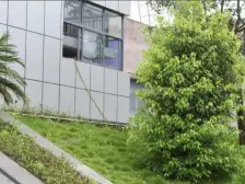 中国铁建山语城山栖 4室2厅 东南