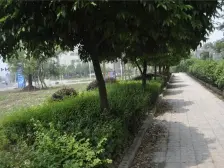 照母山 万科悦府四房475万