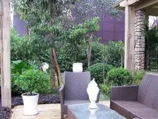 晋愉碧怡林畔东岸 4室2厅 南