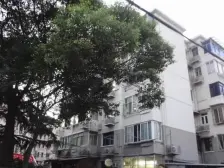 内环边三轨交汇,低总价南北两房,诚意出售