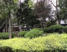 林汀别墅5室2厅南