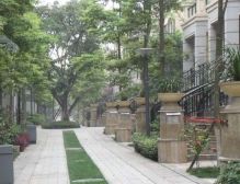 林汀别墅 5室2厅 南