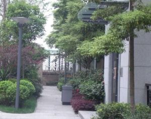 林汀别墅 5室2厅 南